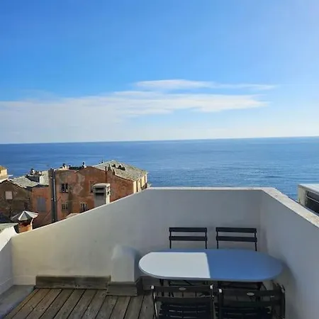 Avec Grande Terrasse Daire